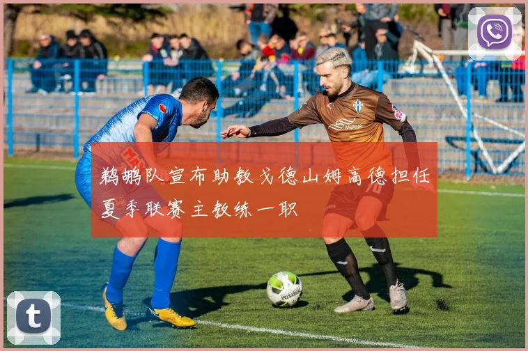 鹈鹕队宣布助教戈德山姆高德担任夏季联赛主教练一职
